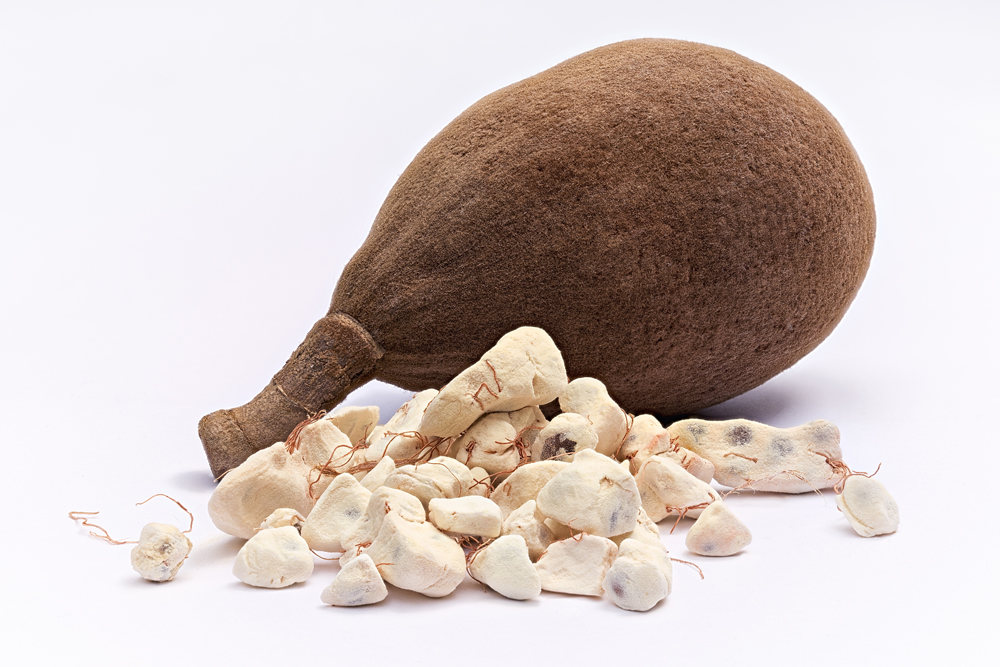 La poudre de fruit de baobab bio Baomix est un anti cancer naturel comme la feuille de graviola corossol